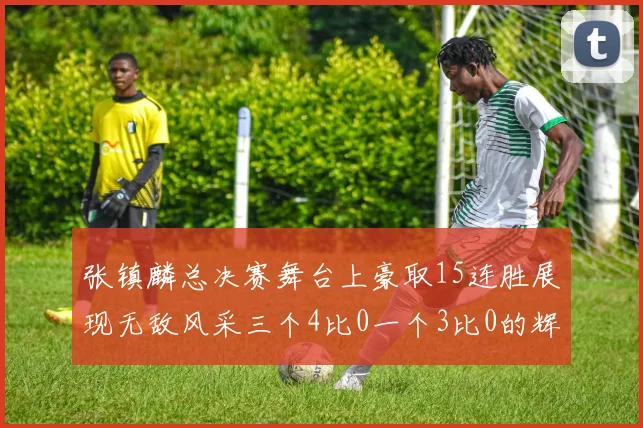 张镇麟总决赛舞台上豪取15连胜展现无敌风采三个4比0一个3比0的辉煌战绩
